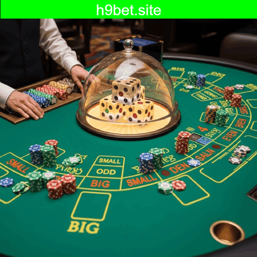 Principais provedores de slots da h9bet - NetEnt, Pragmatic Play, Play'n GO
